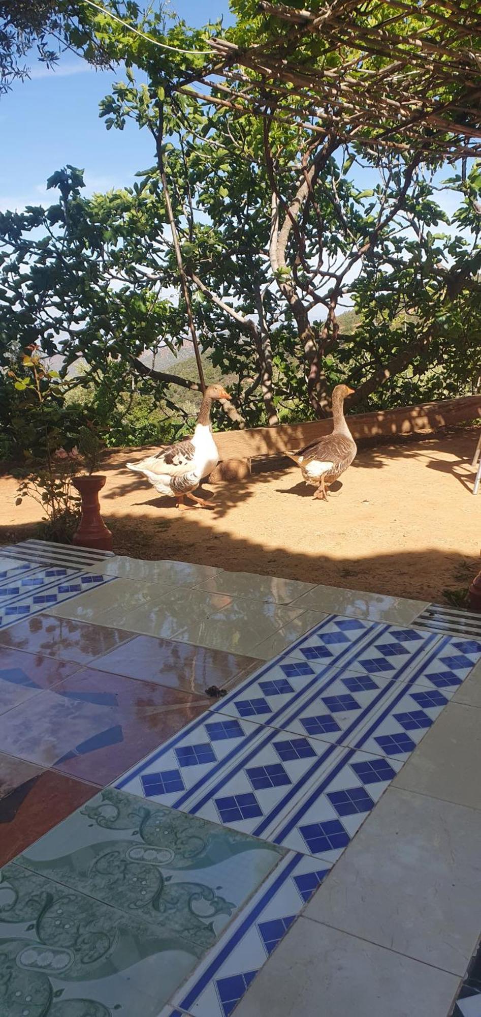 دار الضيافة تازكة Maison D'Hotes Tazekka Taza Exterior photo